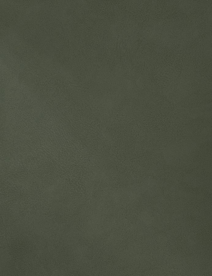 Gallo Vegan Leather Upholstered Bed - Image 8